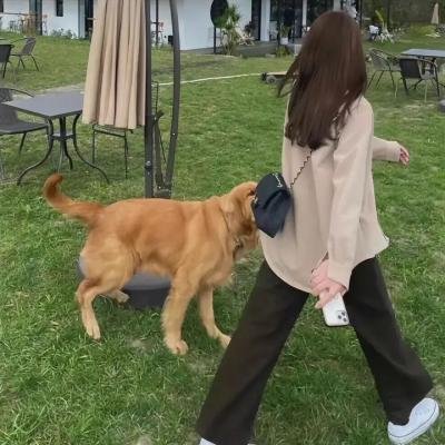 龙之后